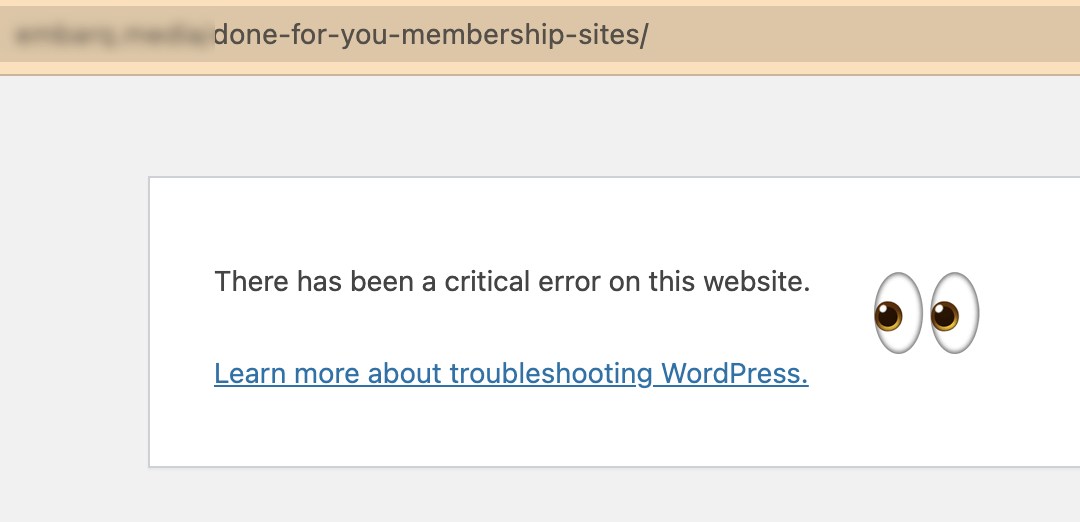 image of a screen capture with text that says there has been a critical error on this website. Learn more about troubleshooting WordPress.'