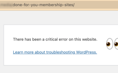 WordPress Critical Error: Don’t Worry, We’ve Got You Covered!